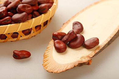 《木卫四协议》新DLC“传染捆绑包” 3月14日上线